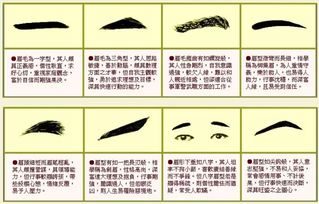 三、  眉毛稀疏与六亲缘法之关联性探究