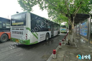 公交车:勇士的选择