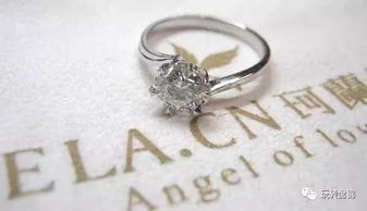 （一）图案繁复度