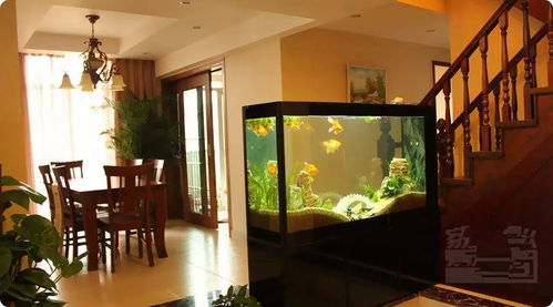 梅花摆放在屋内是否适宜，从风水角度来说有哪些讲究？