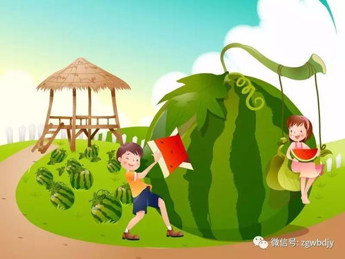 乡下体验:返璞归真实农趣十足get√