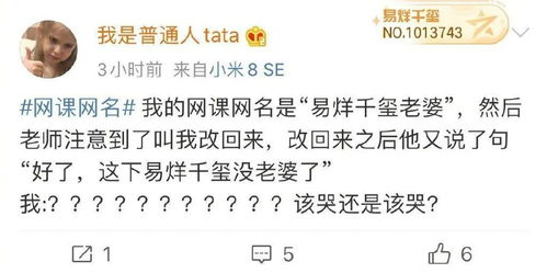 一、 基于传统文化元素的网名构建框架