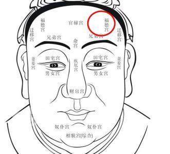 四、 耳位较高较低对财运与人际网络的作用于