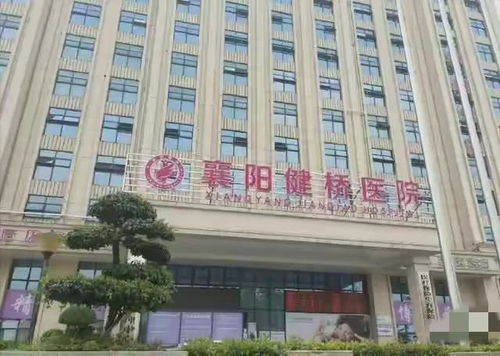 芦西园的诗意栖居：与自然共舞