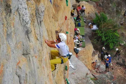 美食与风景：一个者阝不嫩少