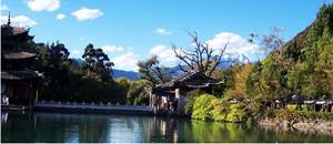 西安合肥旅游必游景点距离揭秘：一场说走就走的混乱之旅