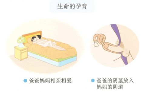 b) 梦中睾丸掉落：生殖能力持续下降还是精神层面焦虑表达？