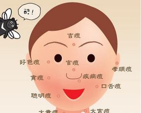 一、 关于青春痘的整体观测与初步判断