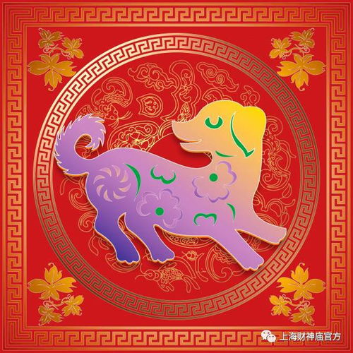 陈配说十二生肖运势，命理师谈十二生肖运势具体包括哪些内容？