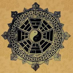 投资创业风险提示