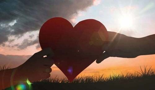 情感领域的困境：放手的勇气与爱的真谛