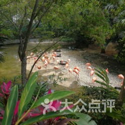 杨梅坑：徒步的终极挑战