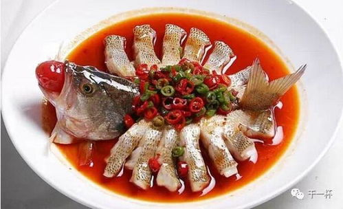 交通：迷宫般的路线