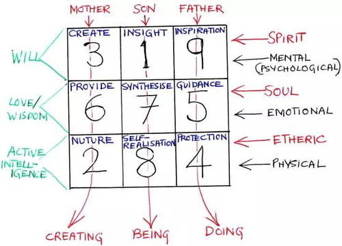 1.1 数字生成机制的名词化表达