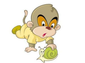 2026年39岁属兔男性运势和99年属兔男性运势分别如何？