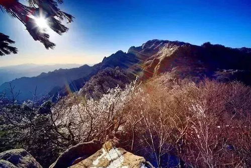 木扎岭景区门票优惠攻略：省钱玩转人间仙境