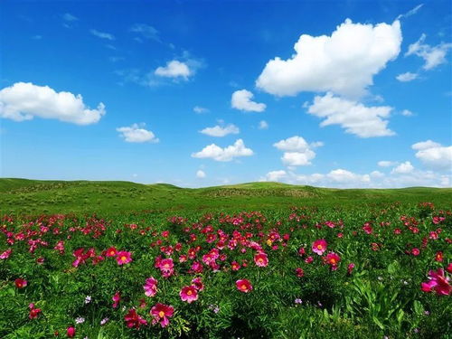 购买方式太奇葩