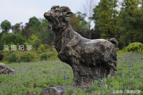 栩栩如生是哪个生肖的象征？