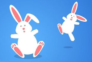 4. 属兔者的柔性情感渗透与温情表达