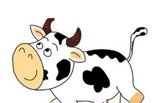 属牛的今天运势方位，哪个方位最吉利呢？