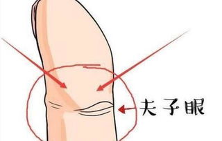 ：手相学视域下的命运隐喻与符号解析