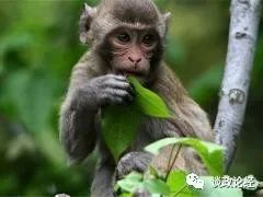 1.2 财务运势
