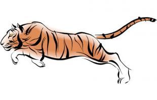 1998年属虎的男宝宝是金虎还是水虎，该如何取名呢？