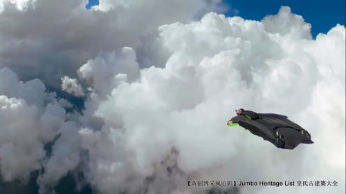 1. 鸡——光明使者与高昂之姿