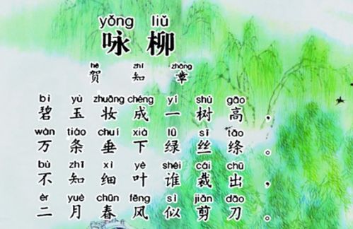 五行八卦神叨叨环节