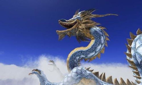 1976年属龙人一生运势如何？运势解析是什么？