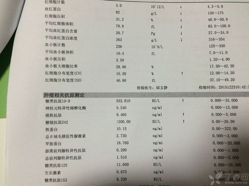 六、结论与反思：对‘效果缓慢’现象应持何种态度？