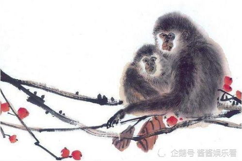 2026年属猴的纳财吉日，是申时还是酉时最旺财？属猴哪一年财运最旺？