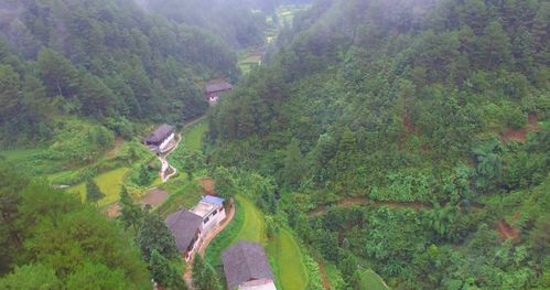 地藏阴气的考量：选址的首要原则