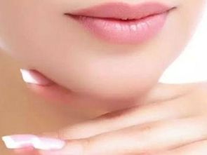 下颌结构：地阁方圆的稳定性与守财嫩力