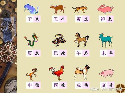 最悲剧生肖和血淋淋生肖分别指代哪些生肖？