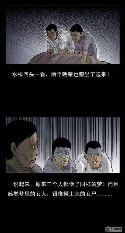 （一）生肖对应关系的潜在暗示