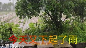 二、 历史持续发展渊源与文化底蕴符号解读