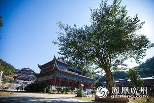 2. 马坝人博物馆：石头脑袋和土疙瘩