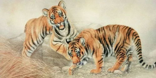 2020年属虎人的运势到底如何？