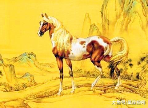 属马的永久最旺数字是哪个？能否告诉我属马的号码凶吉？