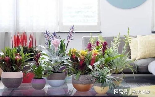 色彩心理学与阴阳平衡之融合应用