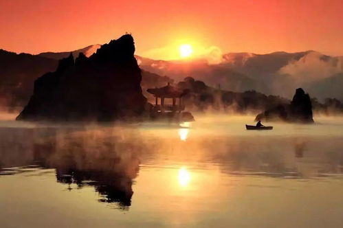 社交媒体平台内容扩散案例评析