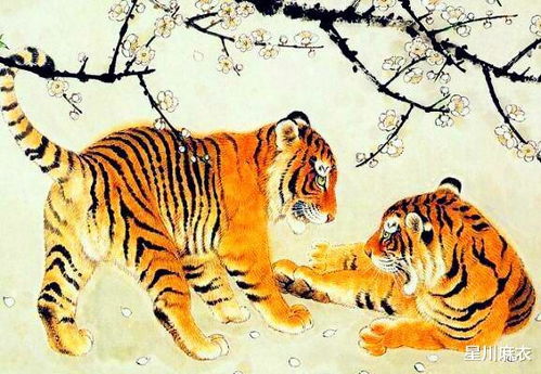 属马女与属虎男婚姻如何？虎年送属虎桃罐头有何寓意？