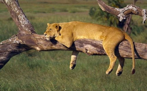 第一章：设备的“军备竞赛”，你真实的需要吗？