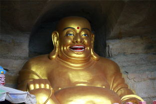 佛祖八字和弥勒佛祖新传中，哪位佛祖的生平事迹最令人感动？