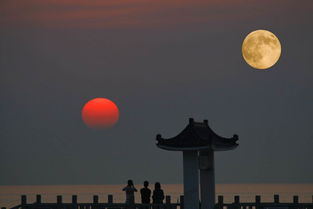 日月同辉打一生肖究竟对应哪个生肖呢？