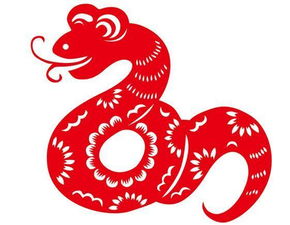 属蛇人2026年运势及运程具体如何？