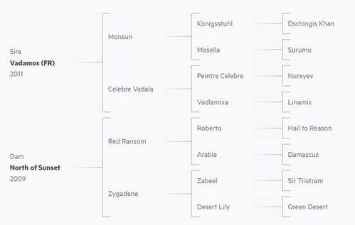 号令天下出生日期选号，号令天下2传奇折扣平台哪里有优惠折扣？