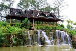 西双版纳热带雨林深度游：一场乱七八糟的绿色冒险