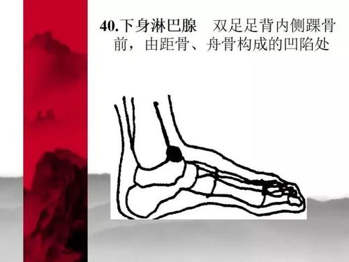 五、 较小张女士案例解析（广东地区）